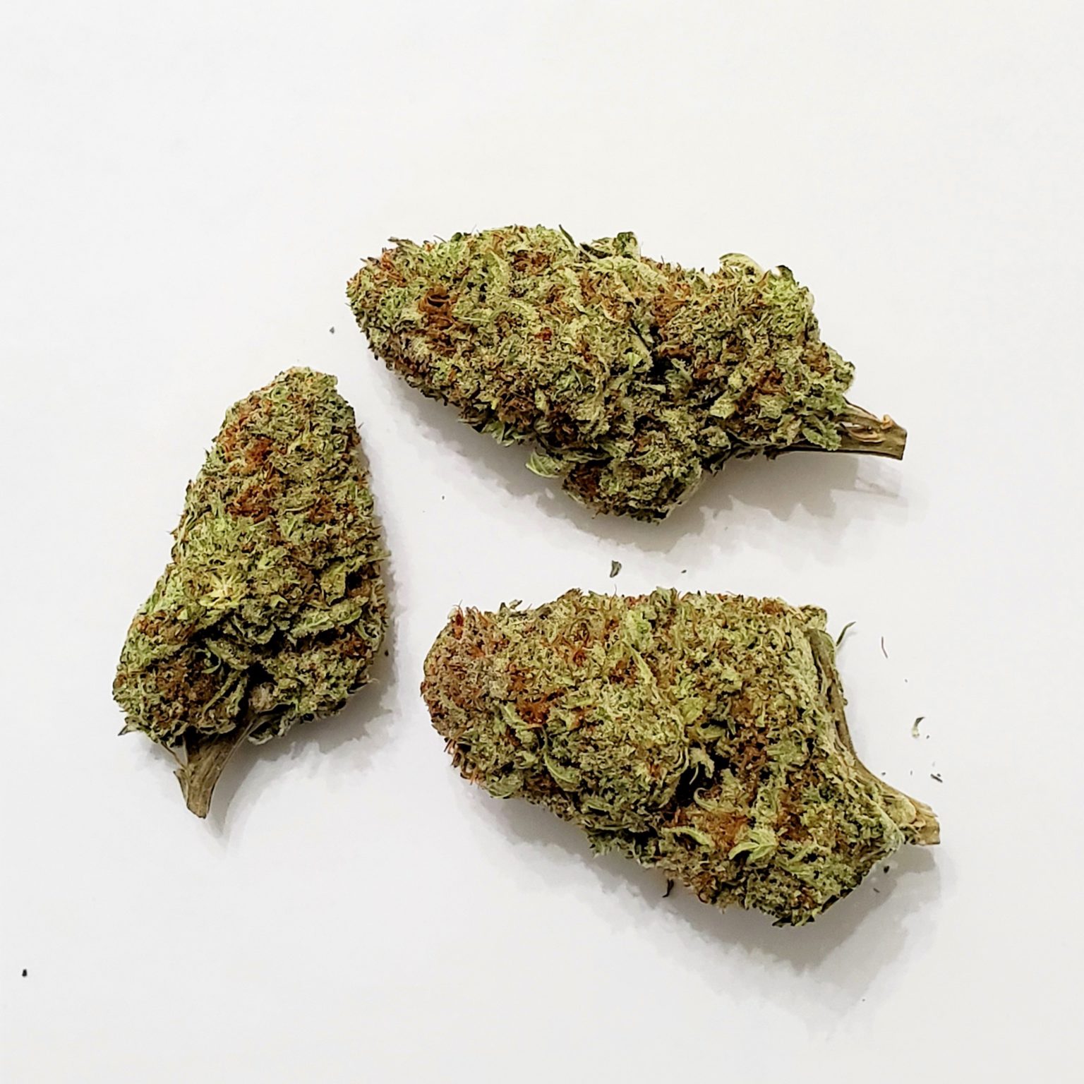 Mimosa Sativa Weed For Sale